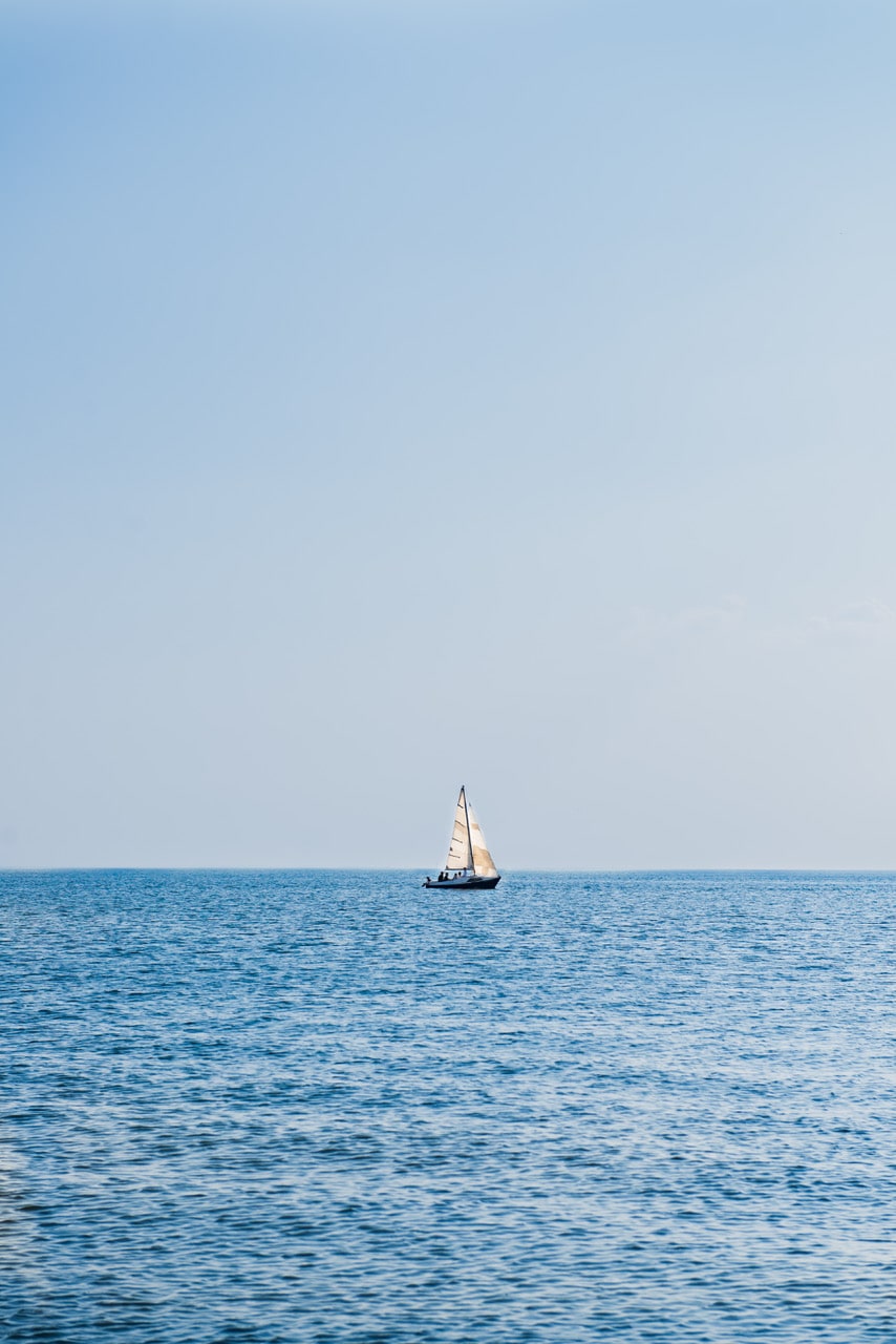 L'espoli, l'atractiu de la mar.  Del mannà a l'esclafit.