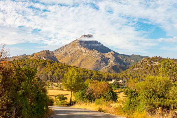 Sortida de marxa nòrdica Finca de Galatzó