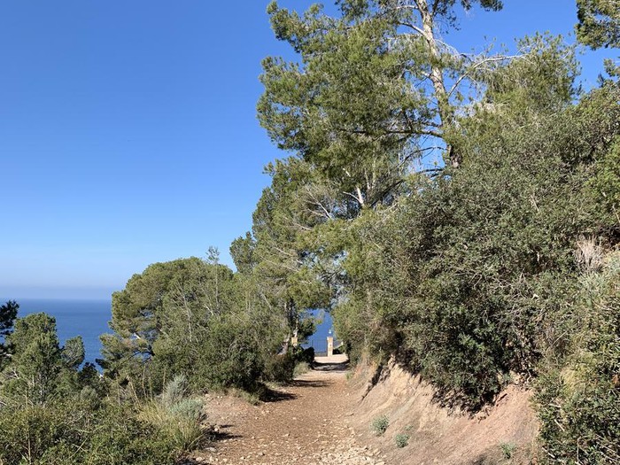 Sortida de senderisme a La volta des General - Banyalbufar, Port des Canonge