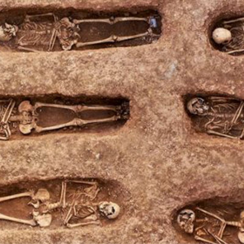 Son Coletes: història de la mort a Manacor