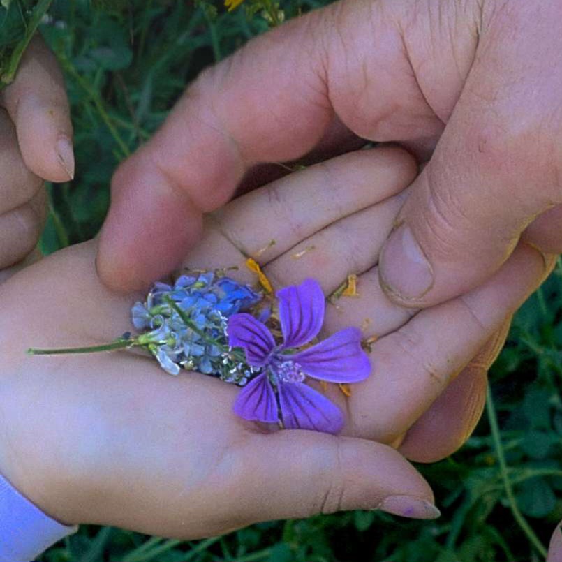 Historias del buen valle