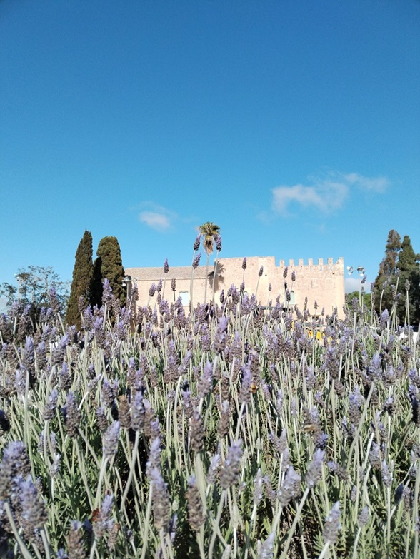 Confeccionam un sac tèrmic de lavanda