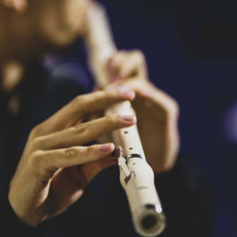 Col·lectives del CEIPIEEM