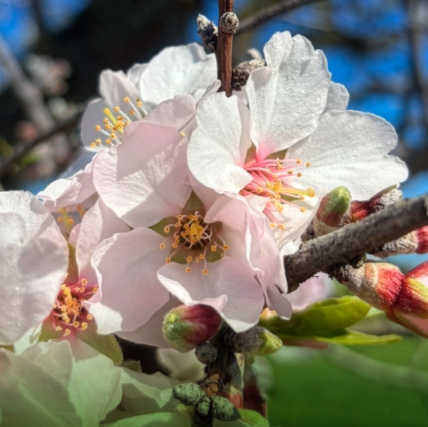 Universitat Oberta per a Majors 2026