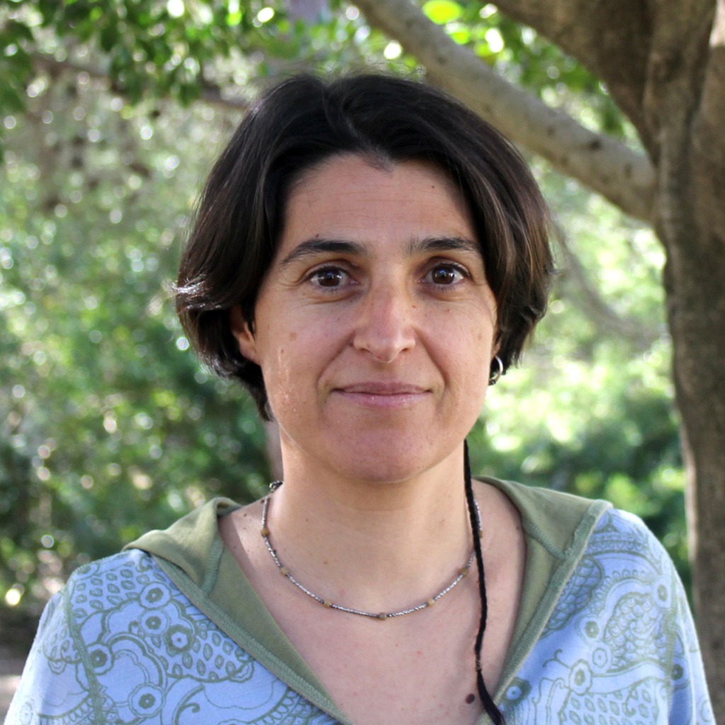 Però què és això dels límits planetaris i per què m'hauria d'interessar?