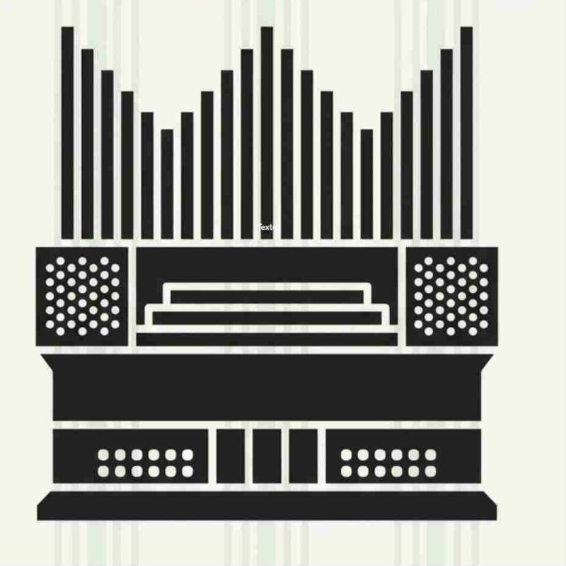 Organis Festival nº 146