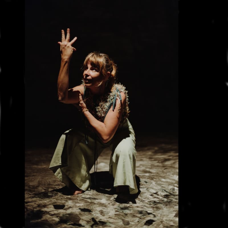 L'Ombra d'una Alzina
